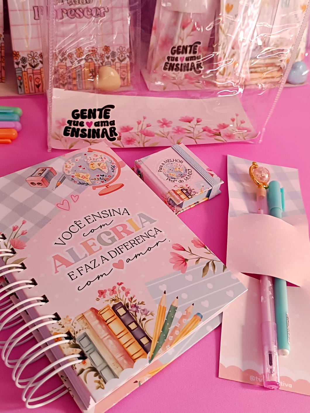 Sacola Ensina com Alegria - Professores