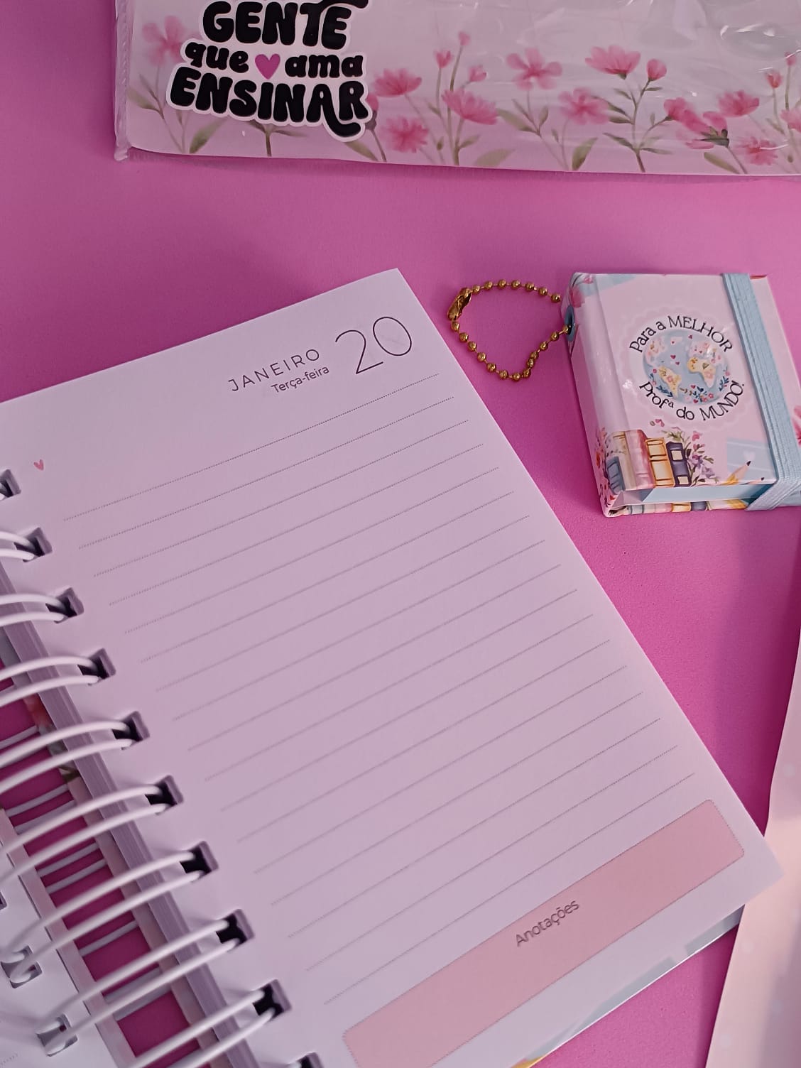 Sacola Ensina com Alegria - Professores - Imagem 2